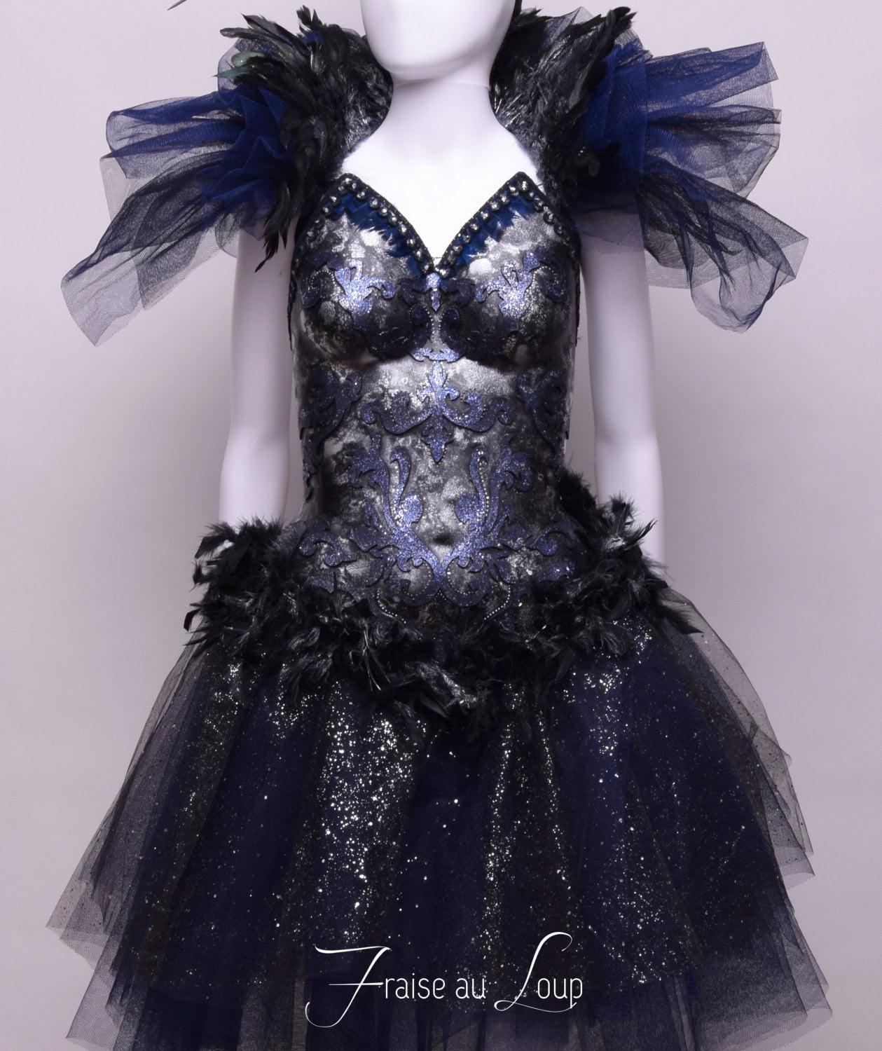 Costume "Night Bird"- Fée - Danse - Magic - Fantastique - Ballerine - Cosplay