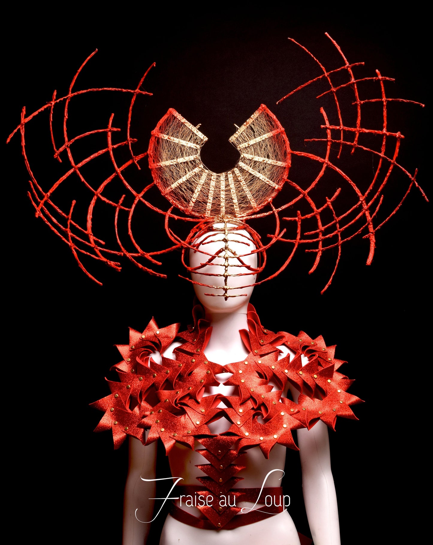 Plastron Armure - Breastplate Fantasy Couture - Futuristic Armor - Lady Gaga Costume - Dragon lady cosplay