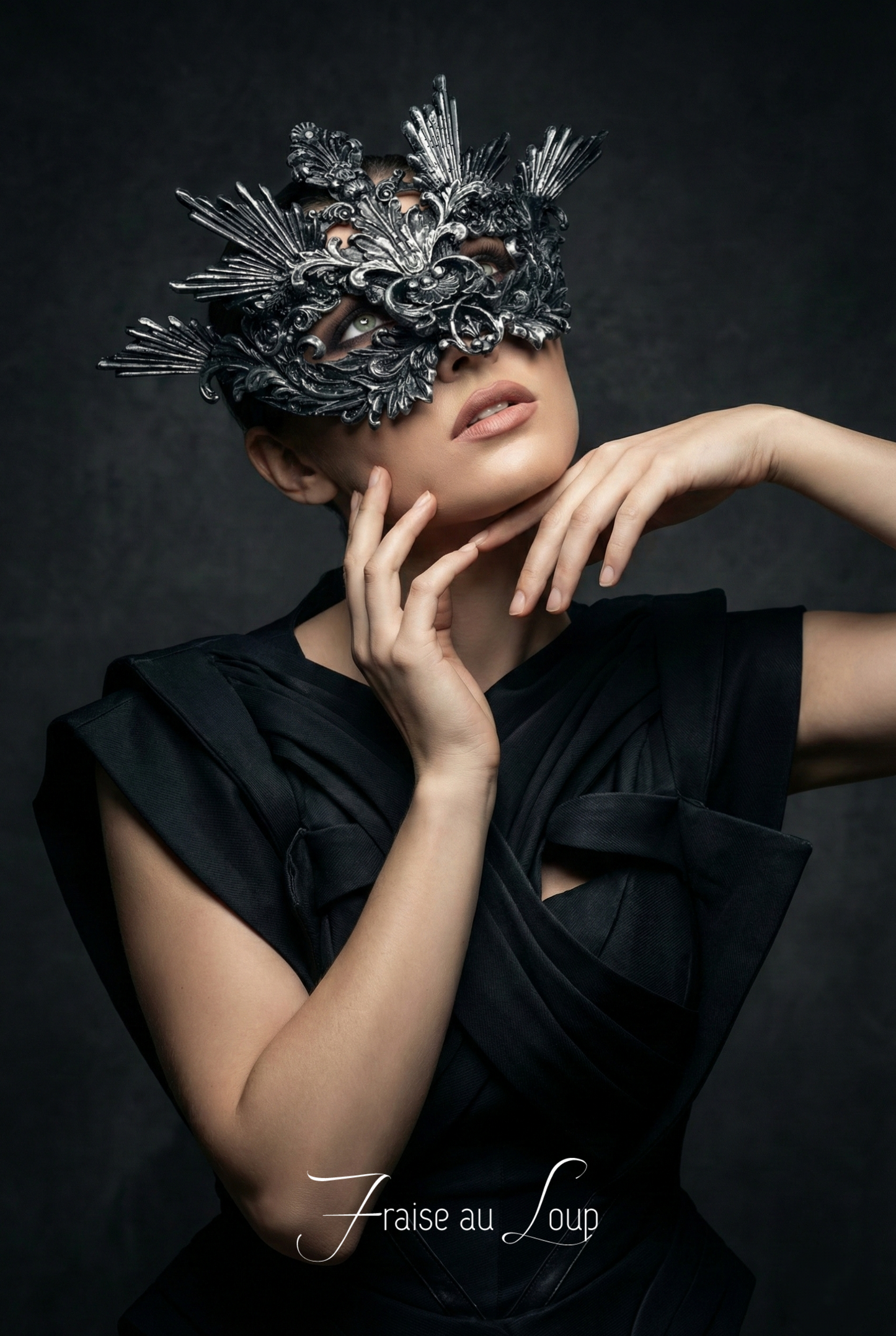 Masque loup baroque Mascarade Carnaval gothique